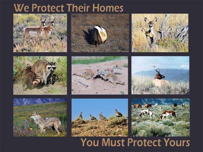 We protect their homes