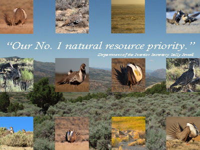 Natural Resource Priority