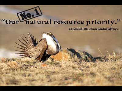 Sage-grouse is a priority