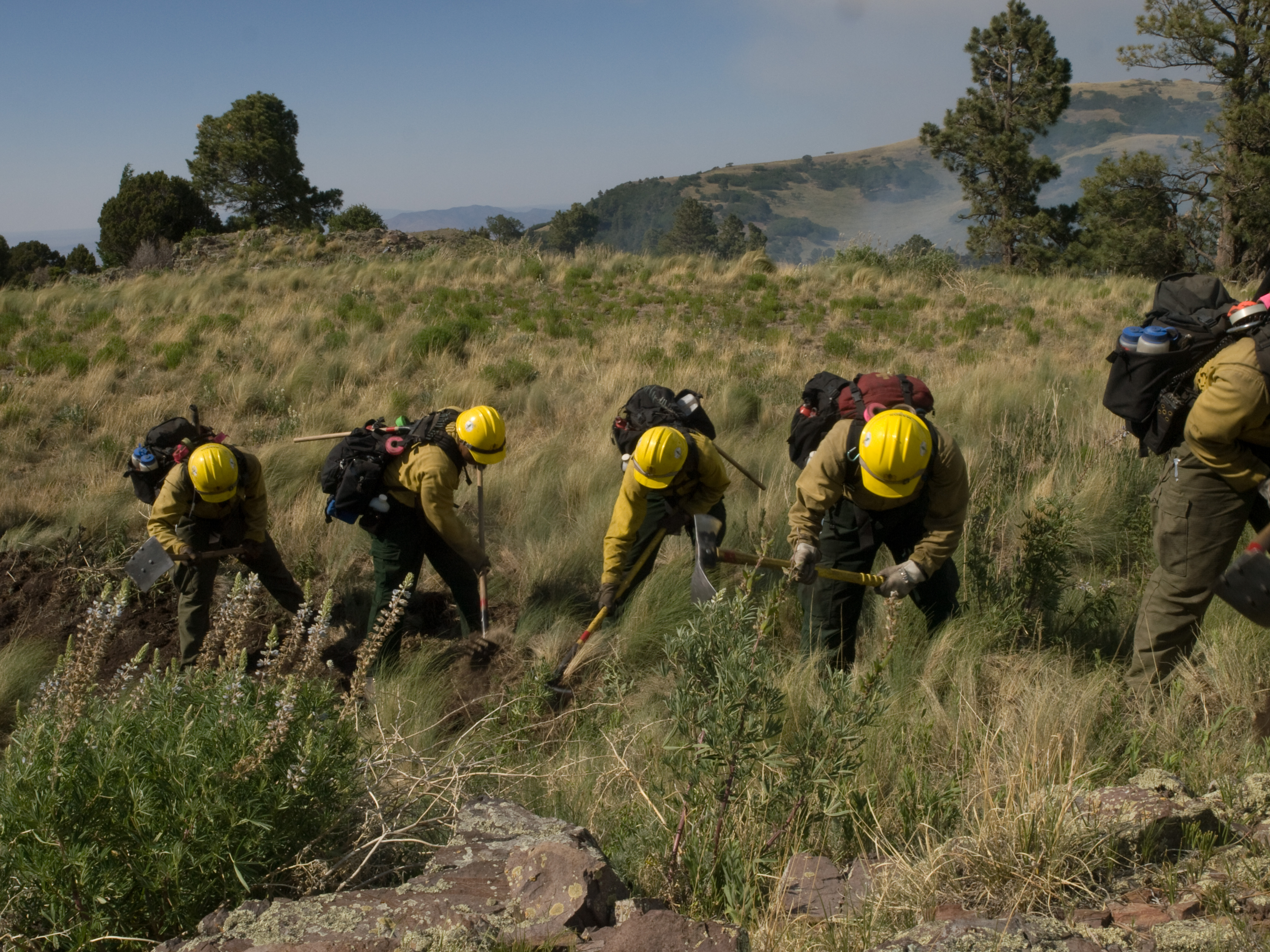 The Springville Hotshots cut fireline on a wildfire in New Mexico.